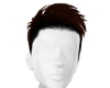 Ken |ginger