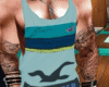 shirt hollister 2
