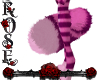 {Rose}Cheshire Cats Tail