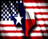 (MC)American _Texas Flag