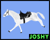 animated riding horse-WT
