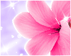 Hair Flower P. R