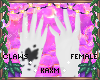 ꨄBlossom Clawsꨄ