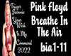 PF-Breathe In The Air