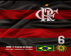 Flamengo / shirt e