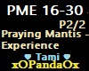 Praying Mantis - Experie