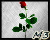 M3 Red Rose-v3