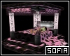 [SOF] PinkBed