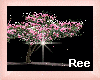 [R]PINK TREE
