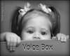 (K) Kids Voice Box