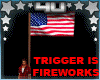 Fireworks & USA Flag