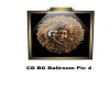CD BG Ballroom Pic 4