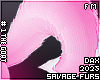 . Squeaky | Tail