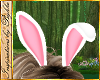 I~Cute Bunny Ears