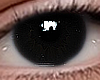 ✔ Eyes
