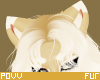 𝒫 | Chib Ears V3