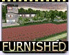 Huge Furnished Mansion