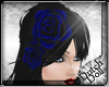 DD Sapphire Hair Roses