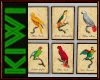 Parrots frames 1