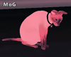 Pinky Cute Cat ~ Anim