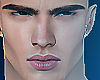 Palmer - Head Mesh