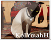 KYH | Remember Cat