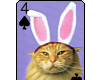 Bunny Playing Card Spade