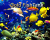 gold fishtank