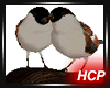 HCP LOVEBIRD BONSAI