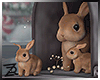 !R Bunnies Mailbox