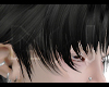 DW. Hiro Black