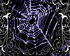 Spiderweb animated