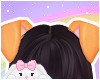🌙 Pumpkin Puppy Ears