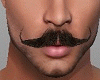 GentlemanLover-Moustache