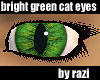 Cats Eyes Brght Green M