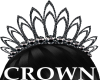 AC*Black diamond Crown