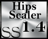 *SS Hip Scaler 1.4