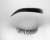 Eyebrows
