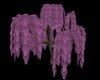 Purple Willow Tree w/p