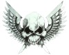 Skull & wings