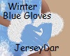 Winter Blue Gloves