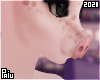 Pig | Chibi nose