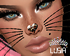 LL** Cat whiskers