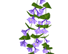 Haging Purple Flowers