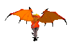 Orange Dragon wings