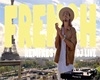 French Remix /Vol 1