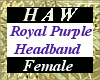 Royal Purple Headband F