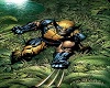 Wolverine #5
