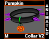 Pumpkin Collar M V2
