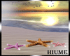 H* Starfishes